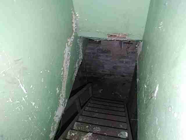 Testing again(42).jpg